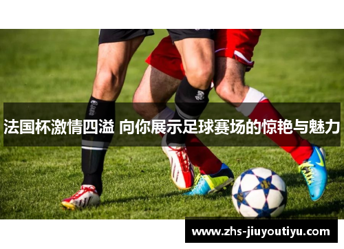 法国杯激情四溢 向你展示足球赛场的惊艳与魅力
